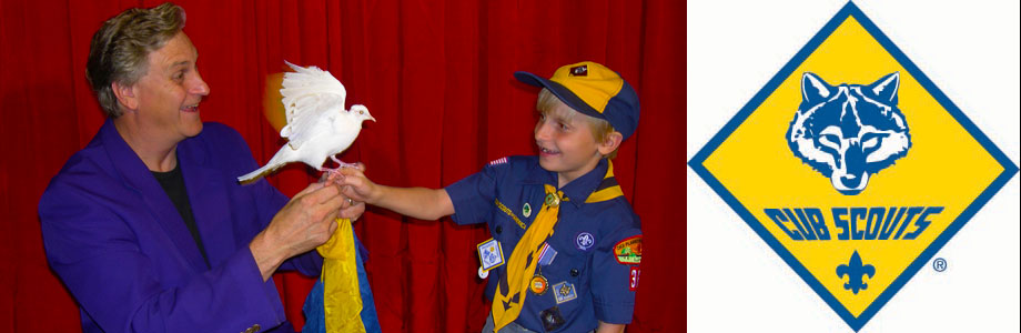 cub_scouts_banner